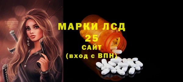 шишки Пересвет