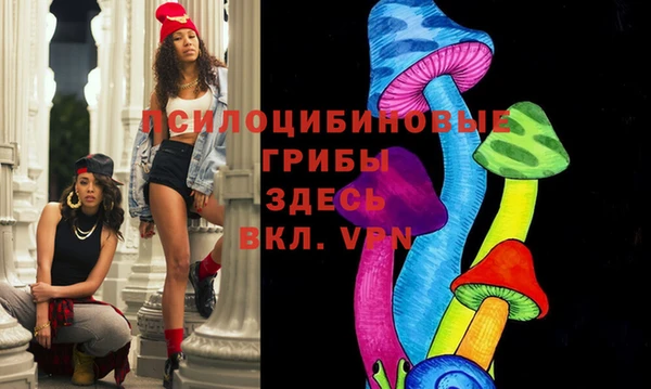 соль ск Пестово