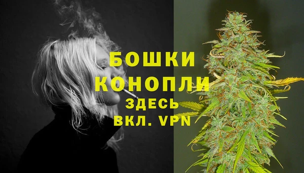 шишки Пересвет