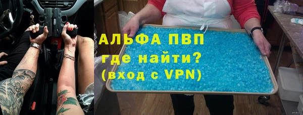 шишки Пересвет