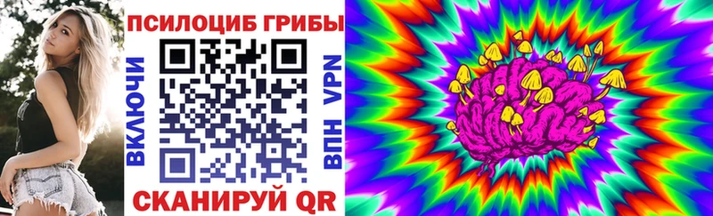 купить наркотик  Алушта  Галлюциногенные грибы Magic Shrooms 