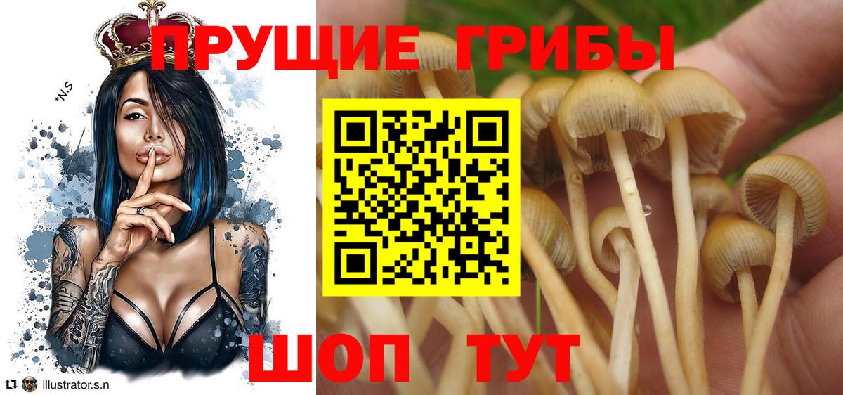 Псилоцибиновые грибы мухоморы Алушта