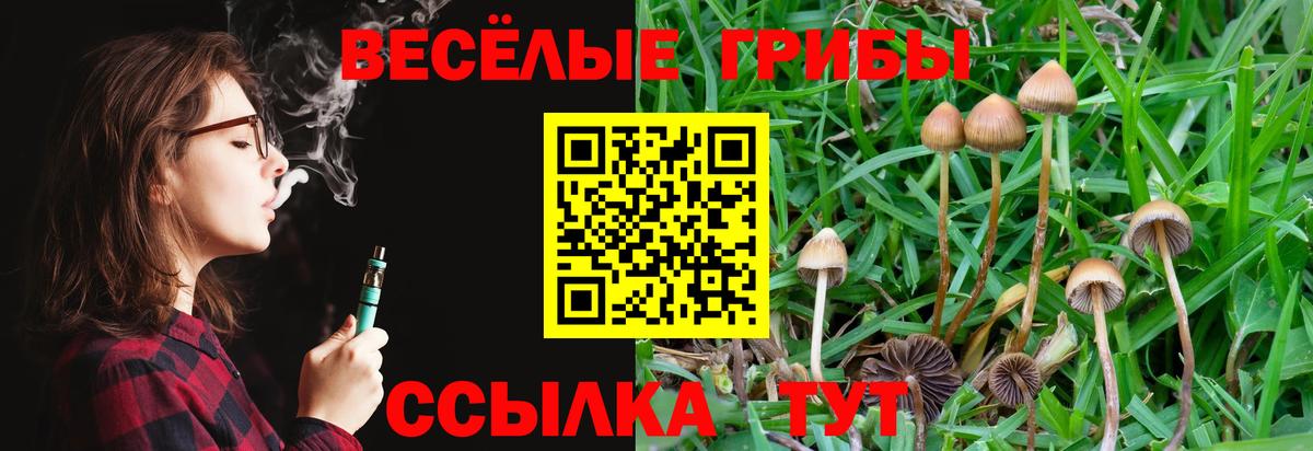Псилоцибиновые грибы Magic Shrooms  Вход с VPN  Алушта  Псилоцибиновые грибы мицелий 