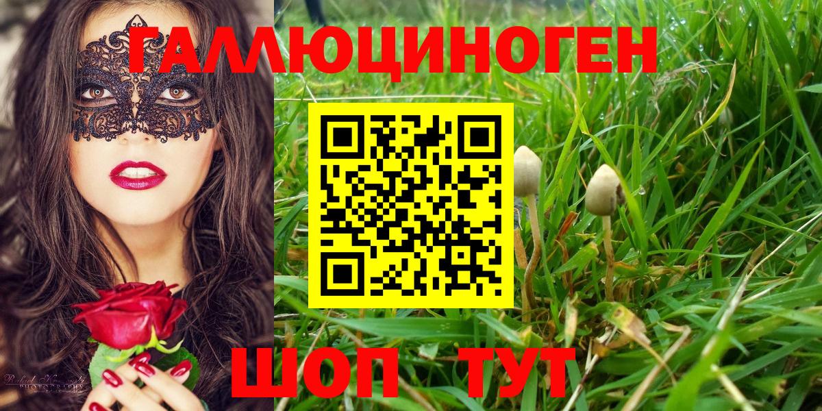 Псилоцибиновые грибы Psilocybine cubensis Алушта